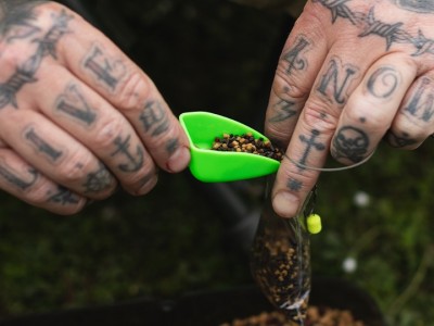 Solidz Scoop - Korda - immagine 5