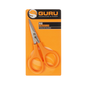 Guru