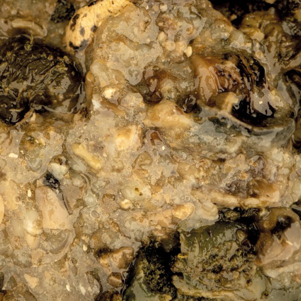 Mussel Blend 500ml - Nash - immagine 2