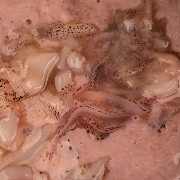 Salted Squid 500ml - Nash - immagine 2