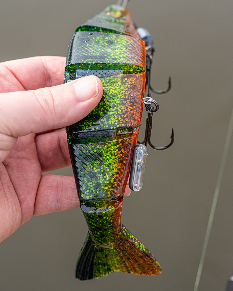 Strike Point Hitcher Rattle Medium - Fox Rage - immagine 5