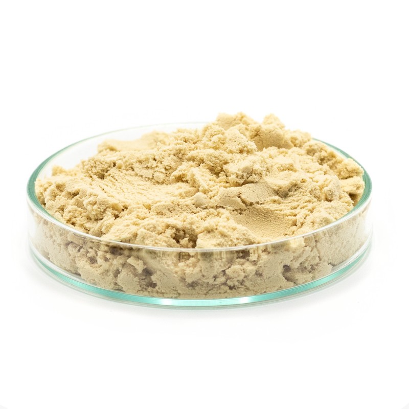 Blood Plasma Powder 1kg - FeedStimulants - immagine 2
