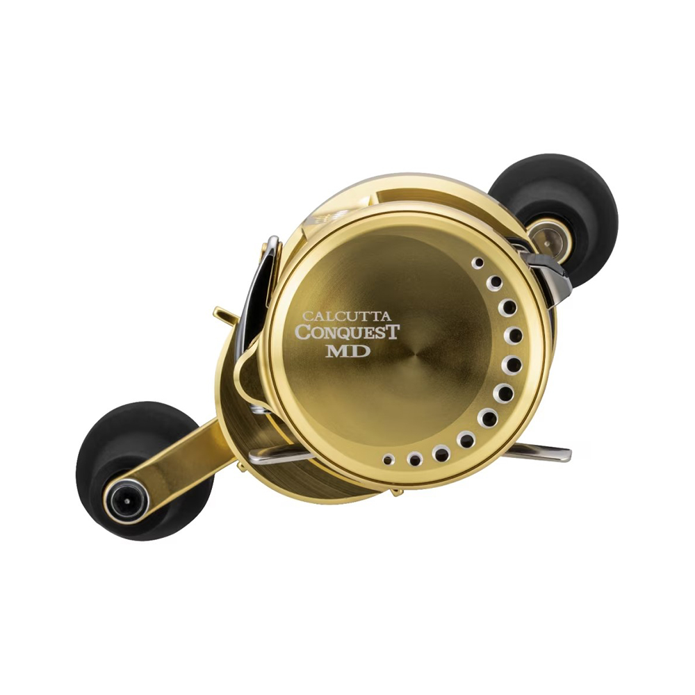 Mulinello Calcutta Conquest MD - Shimano - immagine 3