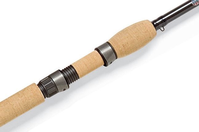 Avid Salmon Spinning - St.Croix - immagine 3