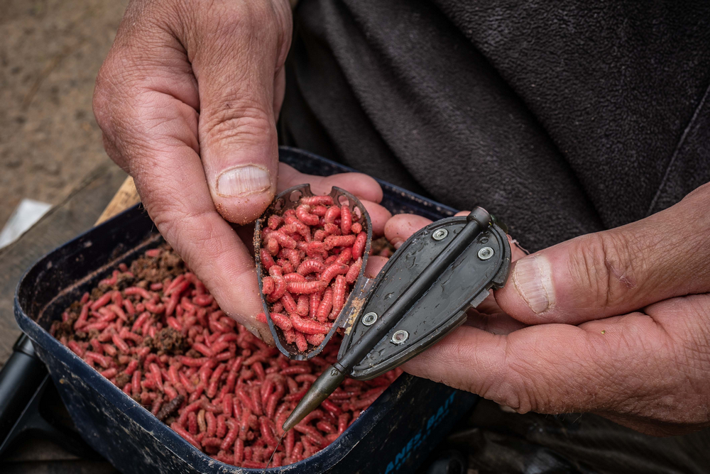 Grub Feeder - Korum - immagine 4