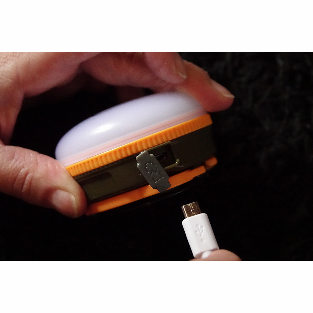 Guardian Bivvy Light - Prologic - immagine 3