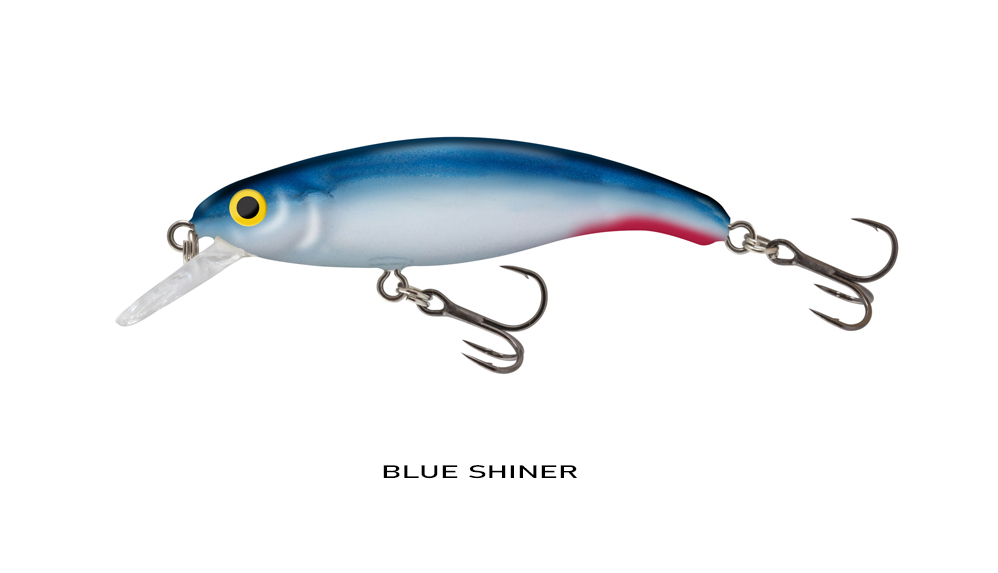 Salmo