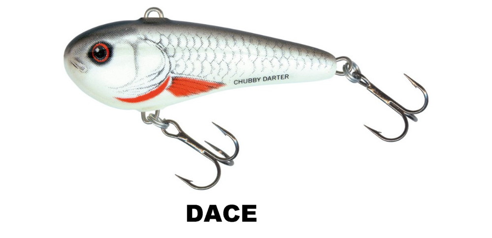 Chubby Darter Sinking - Salmo - immagine 2