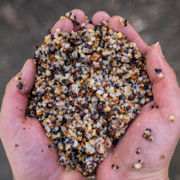 Small Seed Mix - Nash - immagine 2