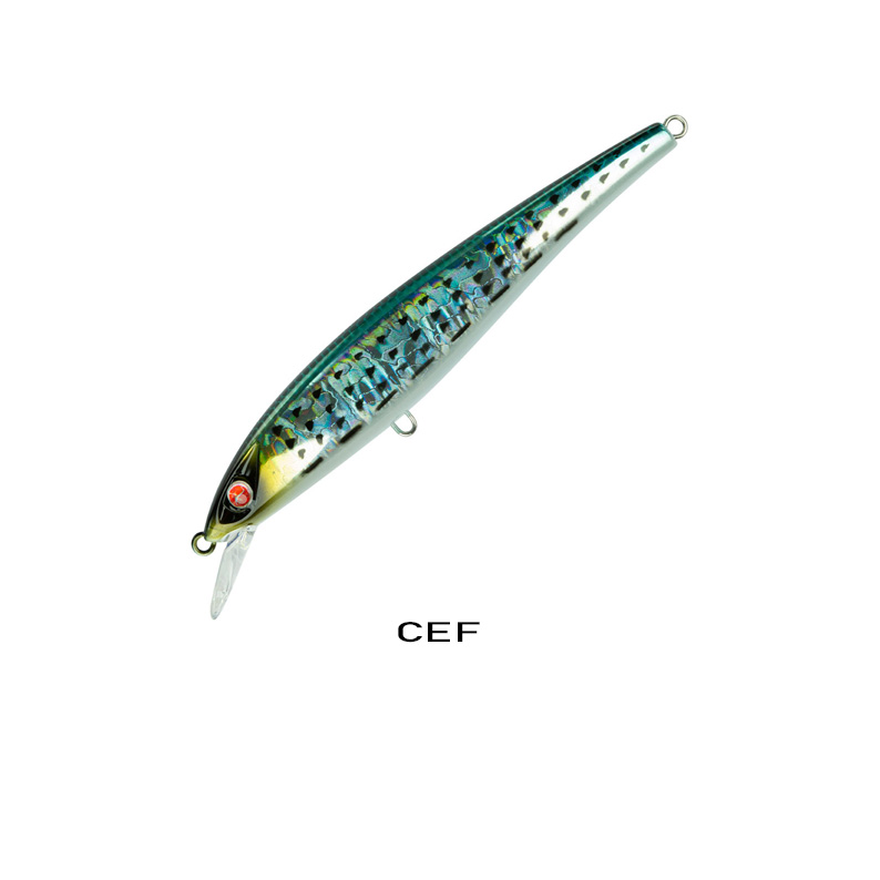 EJA 115 SEASPIN