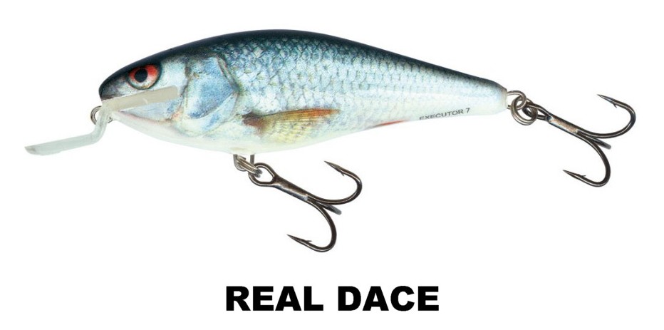 Executor 5cm - Salmo