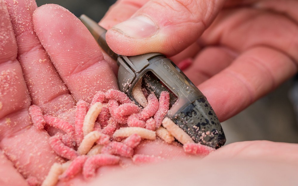 ICS In-Line Maggot Feeder - Preston Innovations - immagine 3