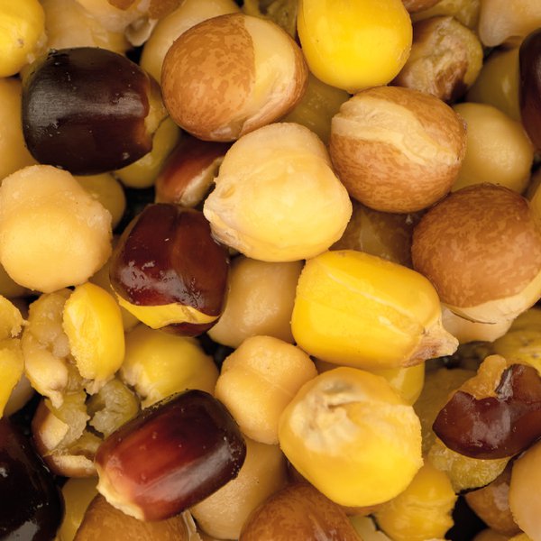Large Seed Mix - Nash - immagine 2