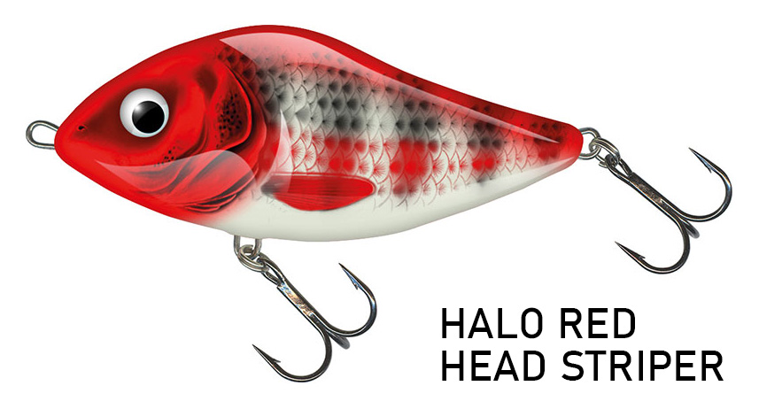 Salmo
