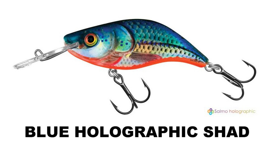 Sparky Shad Sinking - Salmo - immagine 2