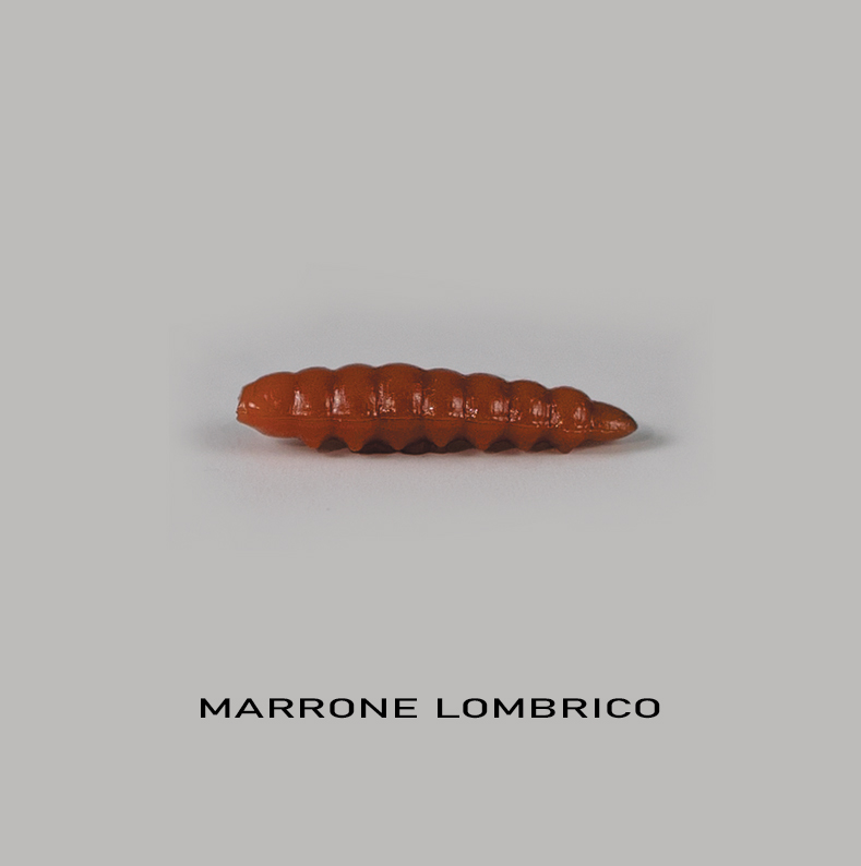 Camola Del Miele - Righetti Bait System - immagine 33