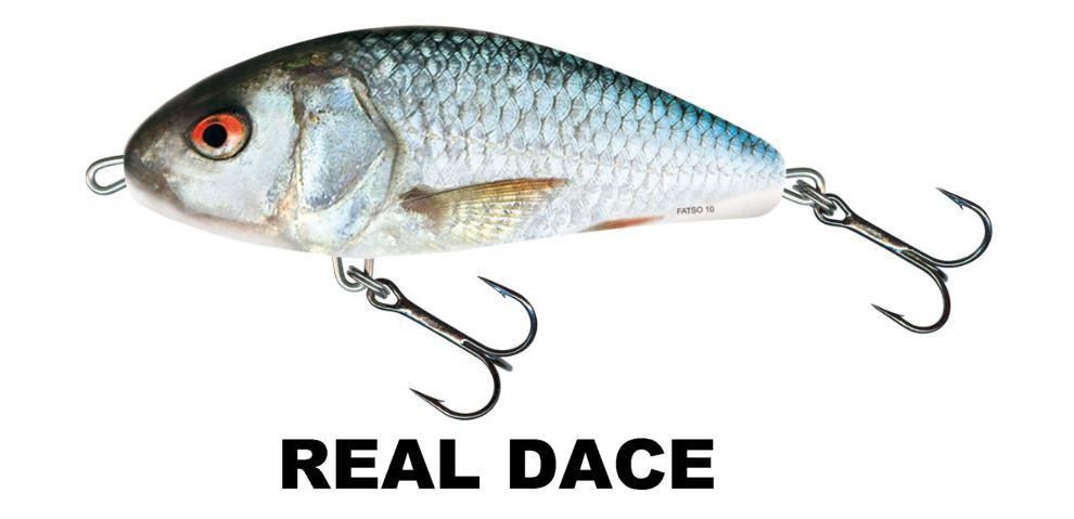 Salmo