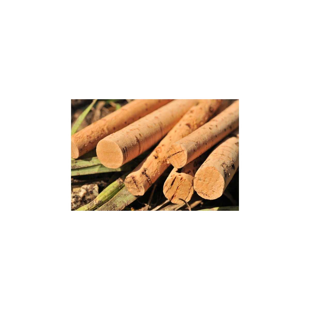 Cork Stick - Korda - immagine 2
