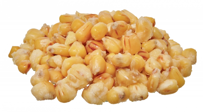 Ready Seeds Demon Corn - Starbaits - immagine 3