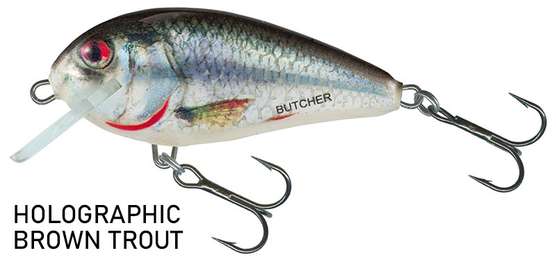 Salmo