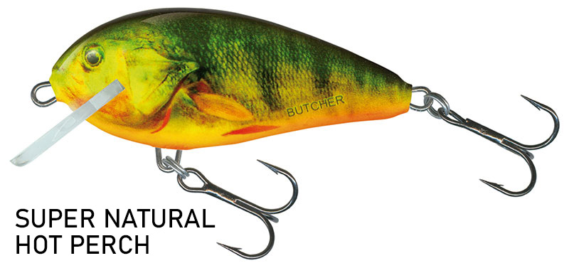Salmo