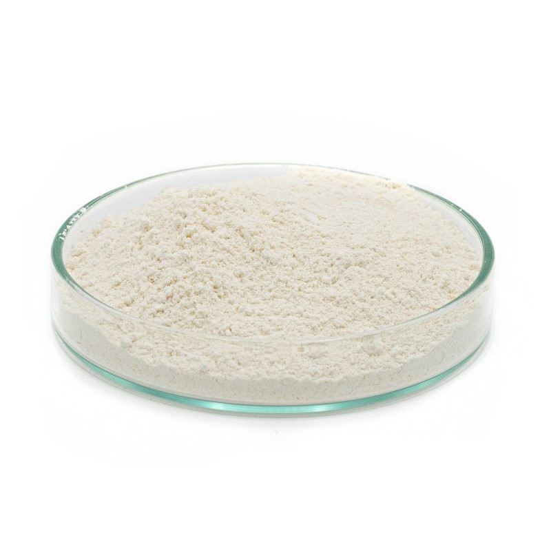 Super Garlic Concentrate - FeedStimulants - immagine 2