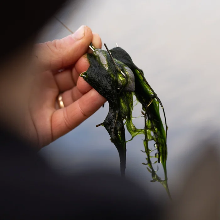 Grapple Lead 4oz - Korda - immagine 3